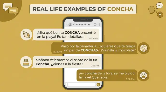 Real Life Examples of Concha
