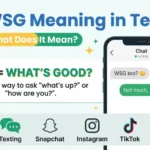 wsg mean in text