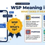 wsp mean in text